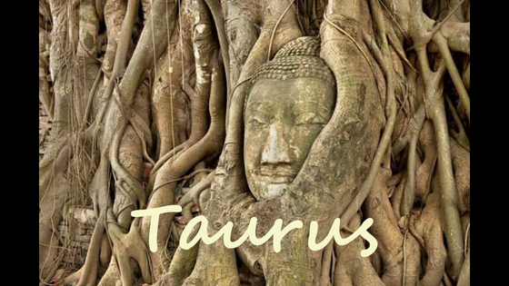 TAURUS Spirits Advice Mr